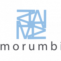 Morumbis Pénzügyi és Befektetési Tanácsadó Korlátolt Felelősségű Társaság